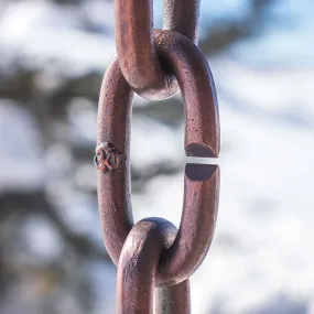 Cast Oval Links Rain Chain