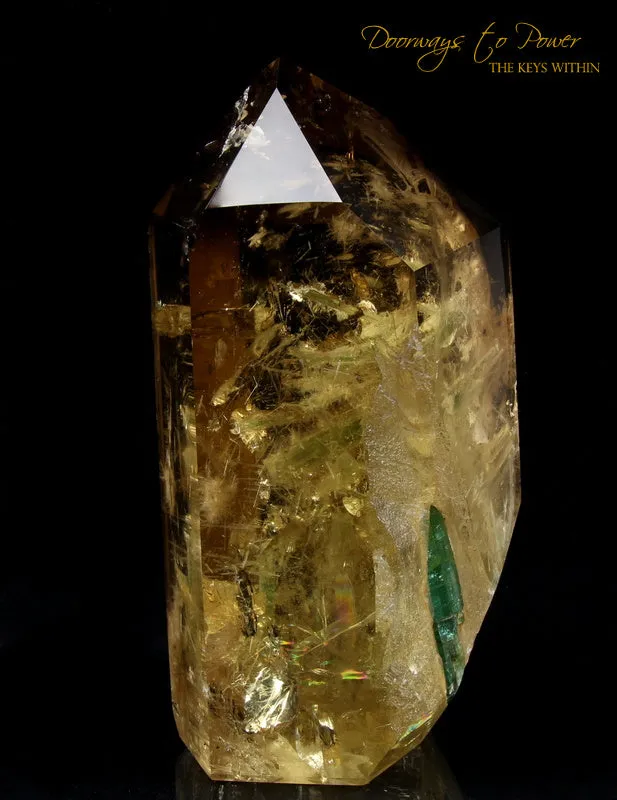 Citrine Quartz Point with Green Tourmaline Inclusions 'Abundance Stone'