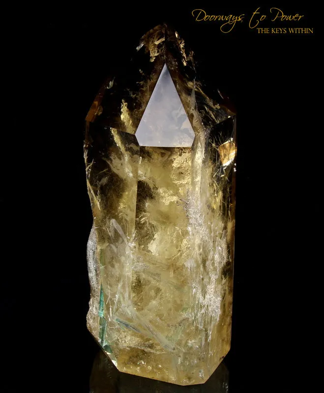 Citrine Quartz Point with Green Tourmaline Inclusions 'Abundance Stone'