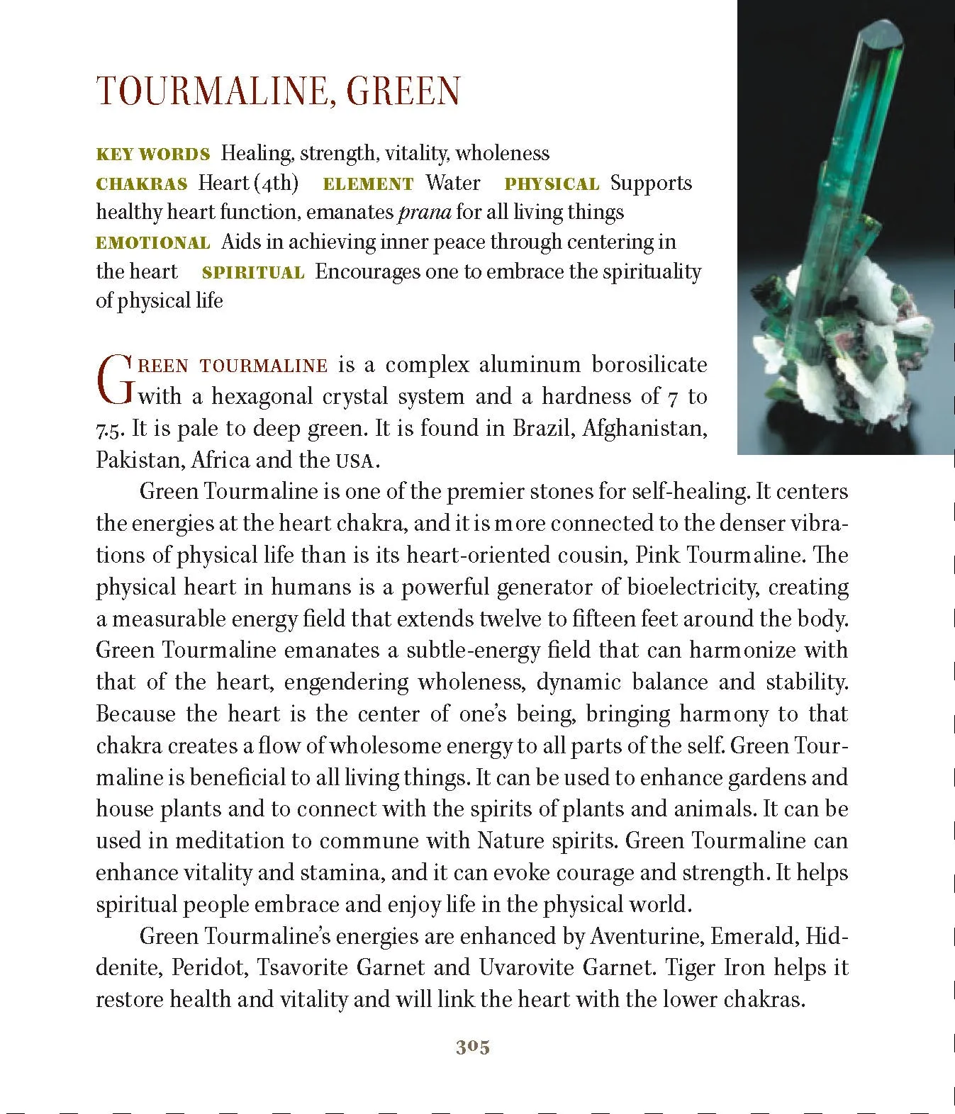 Citrine Quartz Point with Green Tourmaline Inclusions 'Abundance Stone'