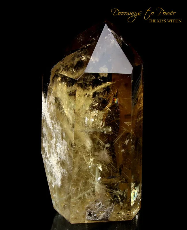 Citrine Quartz Point with Green Tourmaline Inclusions 'Abundance Stone'