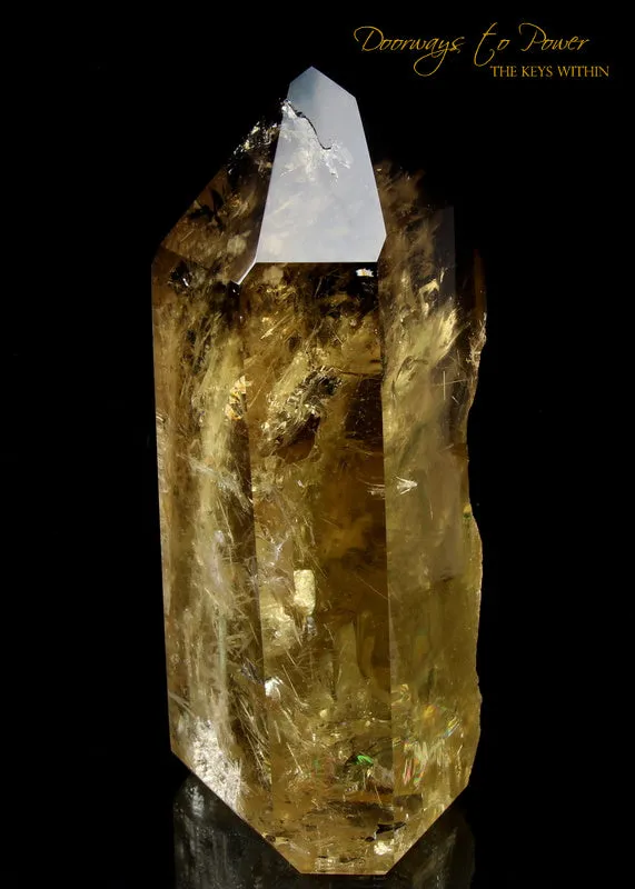 Citrine Quartz Point with Green Tourmaline Inclusions 'Abundance Stone'