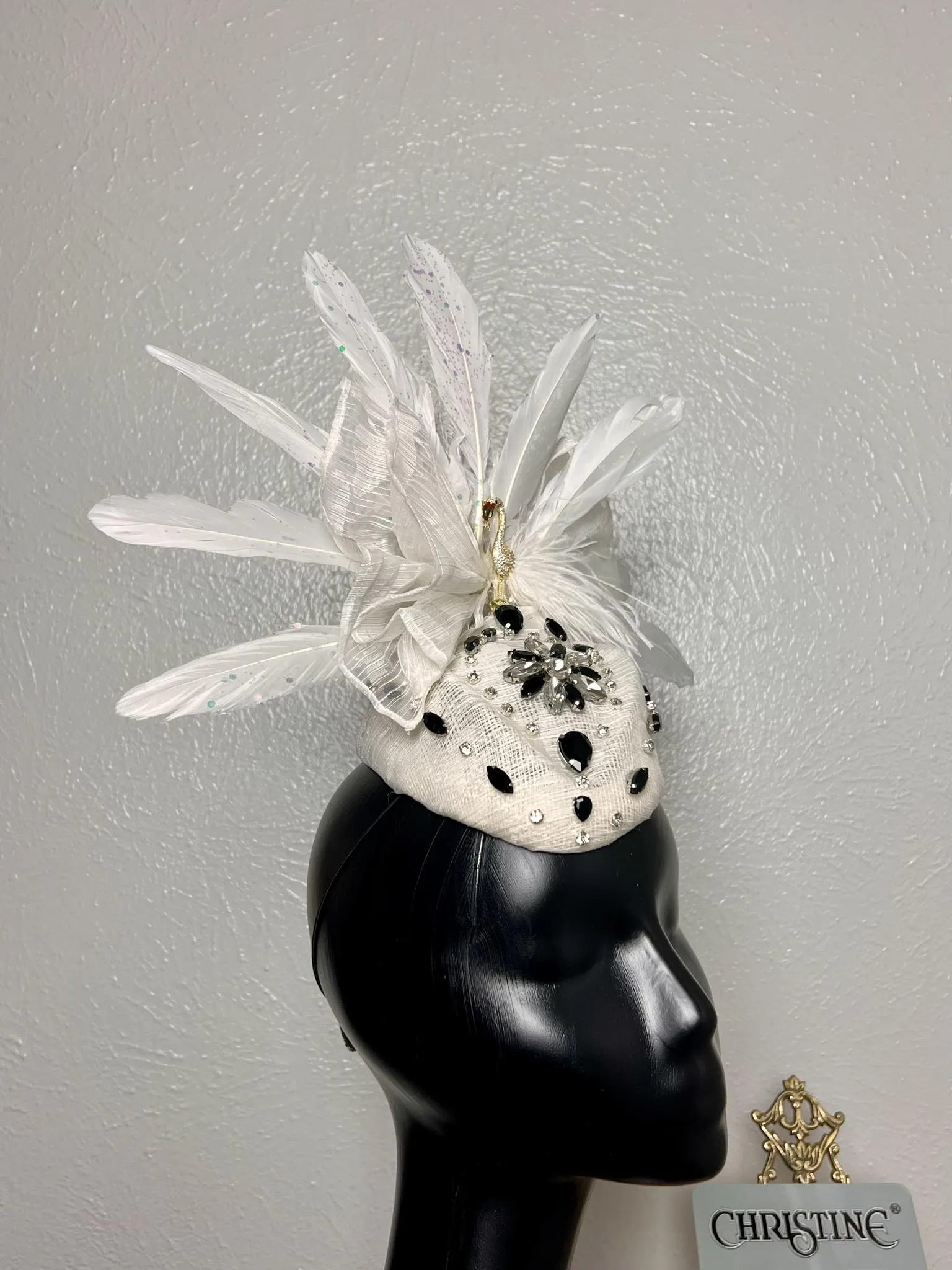 White hat Peacock spreads its wings